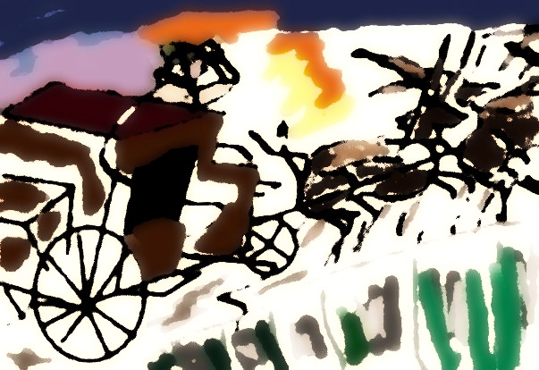 Coachman